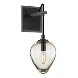 40W 1?Light Wall Sconce with Clear Glass Shade in Graphite & Black Chrome