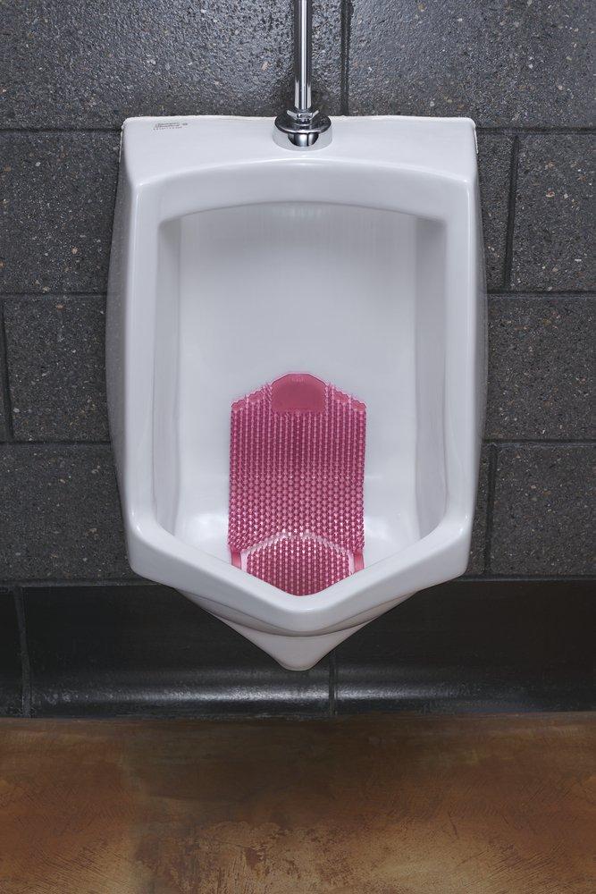 TSUNAMI URN SCRN SPIC APPLE 6/BX 