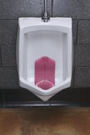 TSUNAMI URN SCRN SPIC APPLE 6/BX 