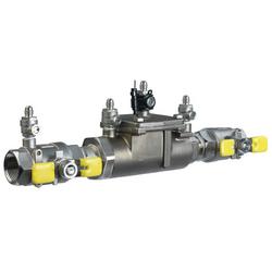 1 in. Stainless Steel Double Check Valve Assembly with Quarter-Turn Ball Valve