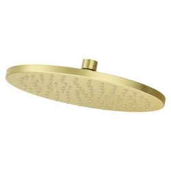 Single Function Showerhead in Brushed Gold