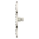 Pfister Polished Nickel Single Function Showerhead 