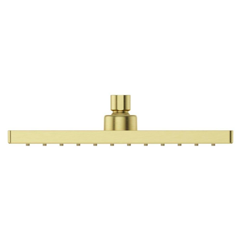 Pfister Brushed Gold Single Function Showerhead 