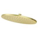 Single Function Showerhead in Brushed Gold