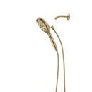 Delta Faucet Champagne Bronze Multi Function Hand Shower 