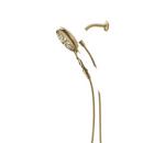 Delta Faucet Champagne Bronze Multi Function Hand Shower 
