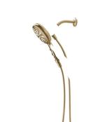 Delta Faucet Champagne Bronze Multi Function Hand Shower 