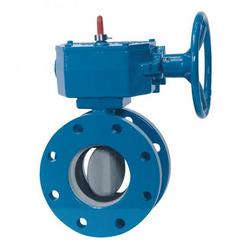 12 in. Ductile Iron Mechanical Joint Butterfly Valve