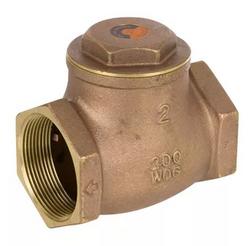 2 in. Brass Threaded Swing Check Valve