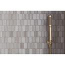 *CVR* CCY SOFT MODERN WAND 2F H/SHW 