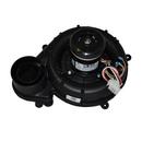 Carrier Corporation 3050 RPM Draft Inducer Motor 