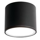 5" LED Outdoor Cylinder Ceiling Light with Adjustable CCT in Black 