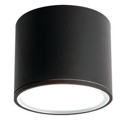 5" LED Outdoor Cylinder Ceiling Light with Adjustable CCT in Black