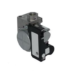 1/2 in. Inlet/ 1/2 in. Outlet 24V Gas Valve