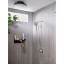 Moen Chrome Single Function Hand Shower 