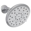 Moen Chrome Single Function Showerhead 