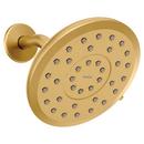 Single Function Showerhead in Brushed Gold