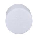 White PVC Schedule 40 Cap 