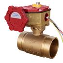 *NP 1-1/4 300# GRV SLO BBBFV W/ SW 