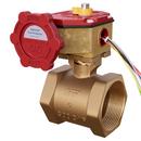 2 in. Threaded Slow Close Butterfly Valve with Switch