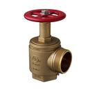 2-1/2 in. FPT x MNST UL/FM Angle Hose Valve