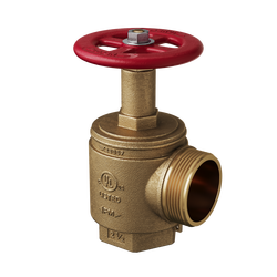 2-1/2 in. FPT x MNST UL/FM Angle Hose Valve