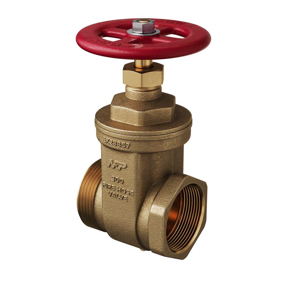 *NP 2-1/2 FNPT X MNST UL FM GATE 