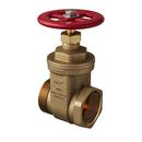 *NP 2-1/2 FNPT X MNST UL FM GATE