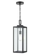 1-Light Outdoor Hanging Pendant in Powder Coated Black 