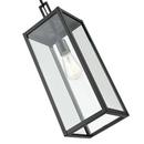 1-Light Outdoor Hanging Pendant in Powder Coated Black 