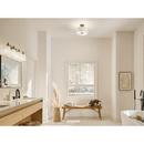 NABR 3 60W MED CEIL LGHT *SHAILE 