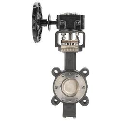 12 HI PERFORM DBL ECC BFV