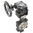 12 HI PERFORM DBL ECC BFV 