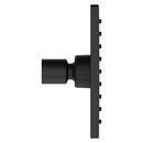 Pfister Matte Black Single Function Showerhead 