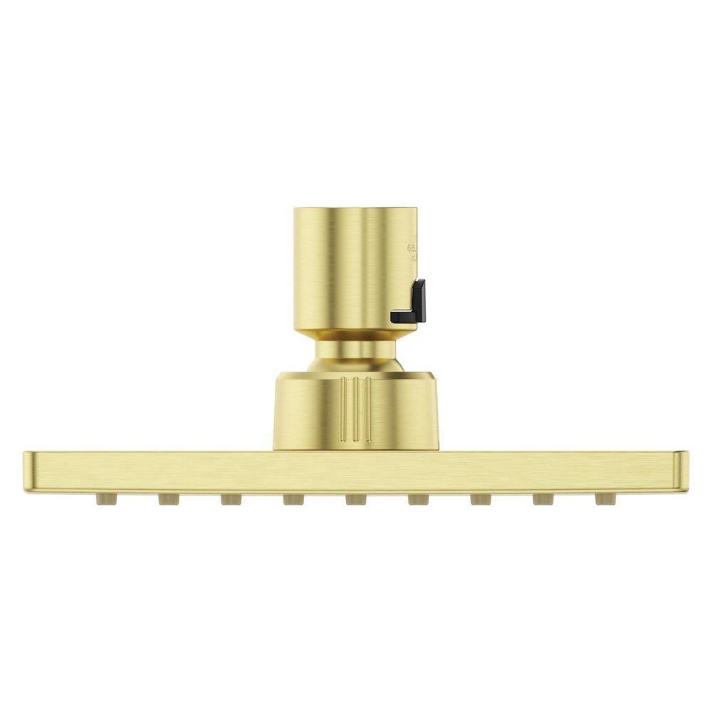 Pfister Brushed Gold Single Function Showerhead 
