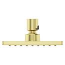 Pfister Brushed Gold Single Function Showerhead 