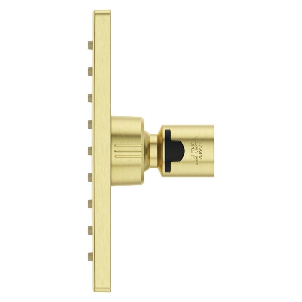 Pfister Brushed Gold Single Function Showerhead 