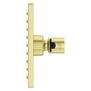 Pfister Brushed Gold Single Function Showerhead 