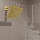 Pfister Brushed Gold Single Function Showerhead 