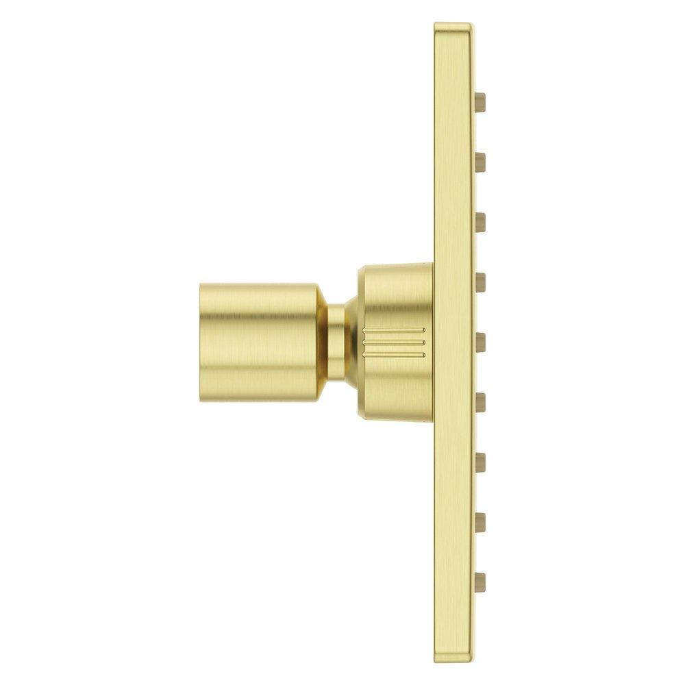 Pfister Brushed Gold Single Function Showerhead 