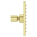 Pfister Brushed Gold Single Function Showerhead 