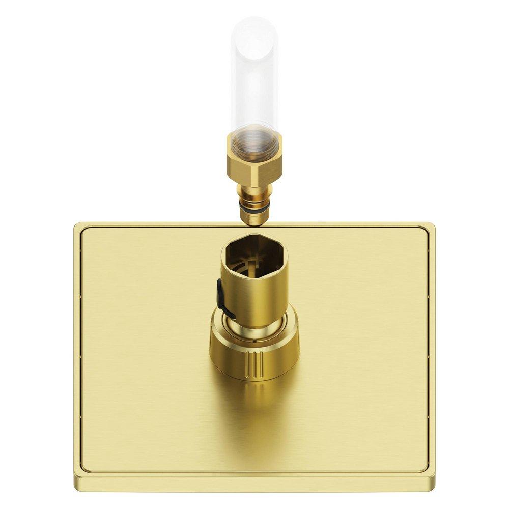Pfister Brushed Gold Single Function Showerhead 
