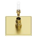 Pfister Brushed Gold Single Function Showerhead 