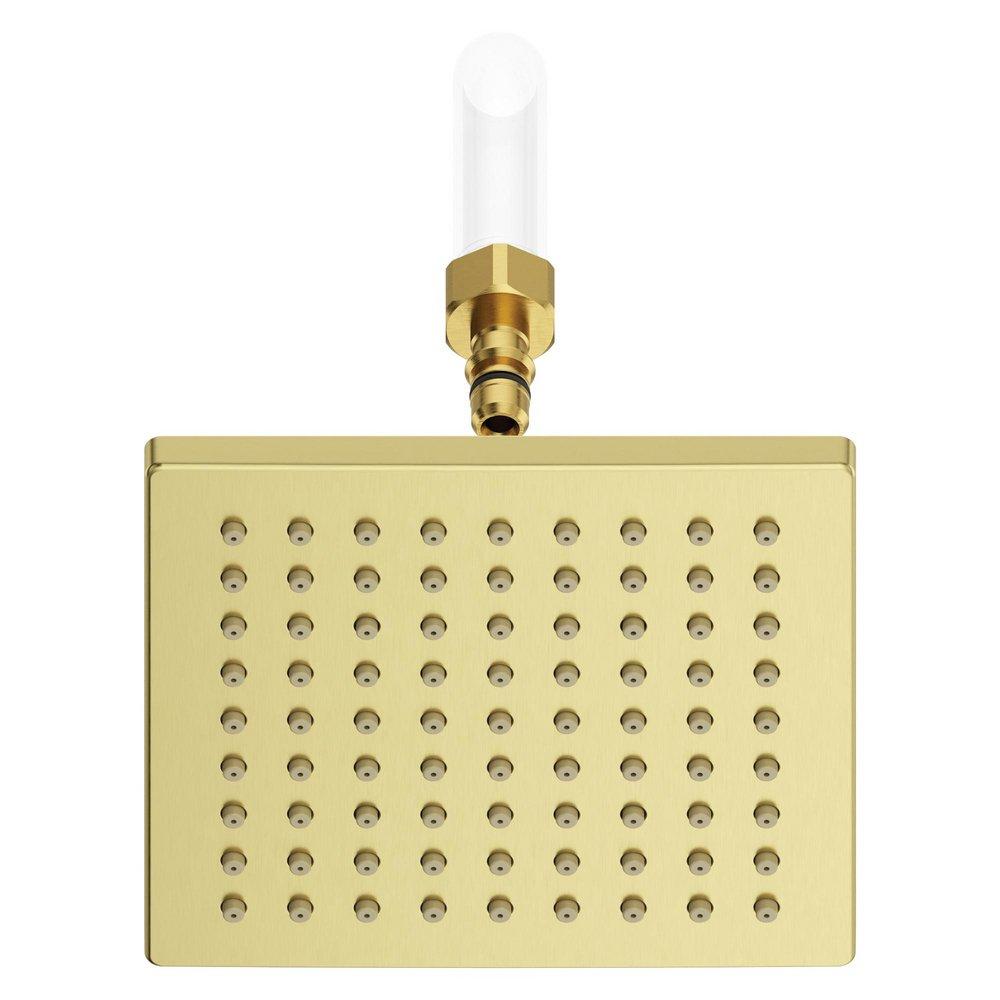 Pfister Brushed Gold Single Function Showerhead 