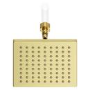 Pfister Brushed Gold Single Function Showerhead 