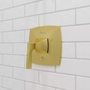 *CVR* T/S HT VLV TRIM ONLY 1HDL BG 