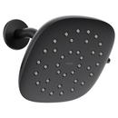 Single Function Showerhead in Matte Black
