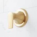 Single Handle Valve Trim in Brushed Gold - Includes Valve