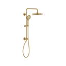 Multi Function Showerhead with Hand Shower in Brushed Gold 