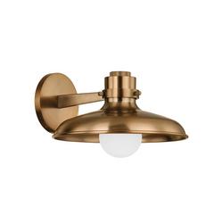 60W 1-Light 12.75in. Wall Sconce in Patina Brass